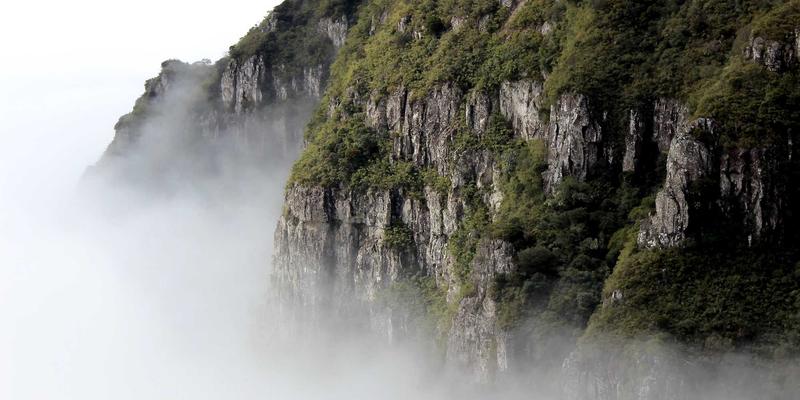 全球化品牌营销RFP核心考量：跨区域代理商的管理能力与本地化执行