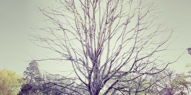 如何撰写一份制胜的营销RFP？企业级品牌选择营销服务商的招标最佳实践