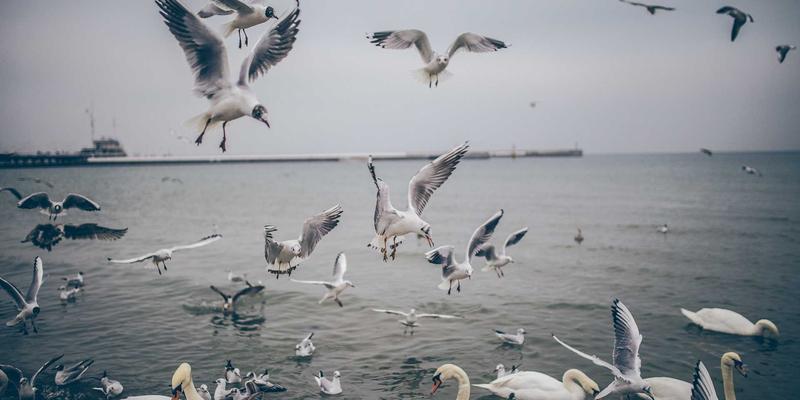 如何科学评估营销服务提案？一份RFP评分矩阵的完整指南