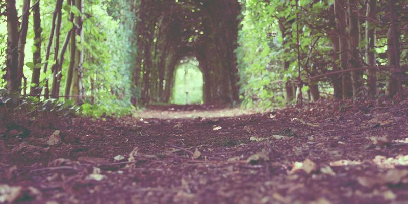 如何通过RFP精准评估营销代理商在HubSpot/Marketo等平台的集成与运营能力