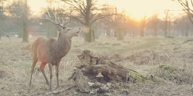 掌握Marketing RFP核心技巧：从精准撰写到成功中标的全流程指南