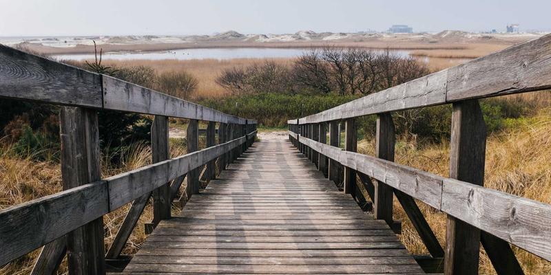 营销RFP流程优化指南：如何通过标准化模板与自动化工具提升招标效率